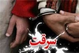 شربت و چای خواب آور شگرد جدید سارقان در پایانه‌های مسافربری