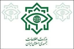 وزارت اطلاعات به انتشار خبر حضور ۱۹۸ مدیر دو تابعیتی در پست‌های مدیریتی واکنش نشان داد