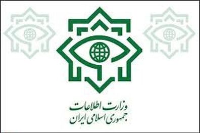 وزارت اطلاعات به انتشار خبر حضور ۱۹۸ مدیر دو تابعیتی در پست‌های مدیریتی واکنش نشان داد