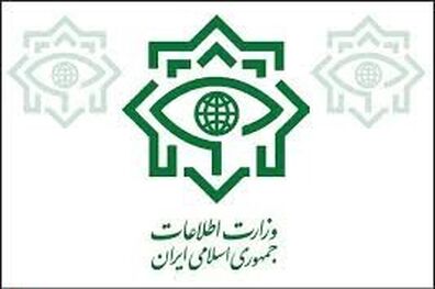 وزارت اطلاعات به انتشار خبر حضور ۱۹۸ مدیر دو تابعیتی در پست‌های مدیریتی واکنش نشان داد