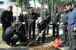 چند اصله نهال در ستاد نیروی دریایی ارتش غرس شد