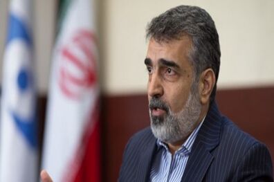 انتقاد کمالوندی از استناد شورای حکام و آژانس به اطلاعات غیرموثق