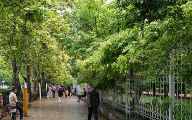 تهرانی‌ها منتظر رگبار و رعد وبرق باشند
