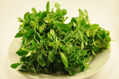 عوارض مصرف شنبلیله /بیماران کبدی از مصرف این گیاه خودداری کنند