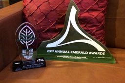 عضو هیات علمی دانشگاه صنعتی اراک برنده جایزه گروه Emerald شد