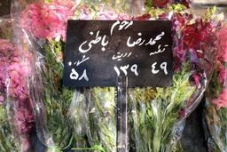 پیکر محمدرضا باطنی به خاک سپرده شد