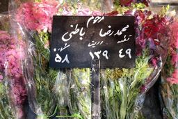 پیکر محمدرضا باطنی به خاک سپرده شد