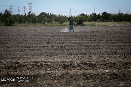 درآمدهای داغ - کشاورزی