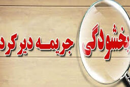 طرح جدید بخشودگی جرایم بانکی، سهامداران و سپرده گذارن بانکی را متضرر خواهد کرد/ این طرح به نفع بدهکارانی است که به هر دلیلی حاضر به پرداخت بدهی و جریمه خود نیستند