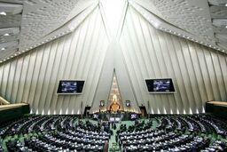 بررسی مشکلات موسسات مالی و اعتباری با حضور سیف در مجلس