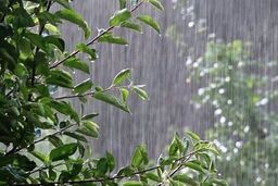 هشدار فعالیت سامانه بارشی تا دوشنبه
