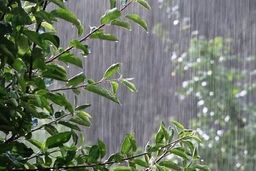 بارش باران در برخی استان‌ها