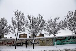  غافلگیری اردبیلی ها با برف پاییزی