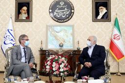 حضور نیروهای آمریکایی در عراق و افغانستان باعث رشد تروریسم، نا امنی و تداوم بحران در این کشورها شده است