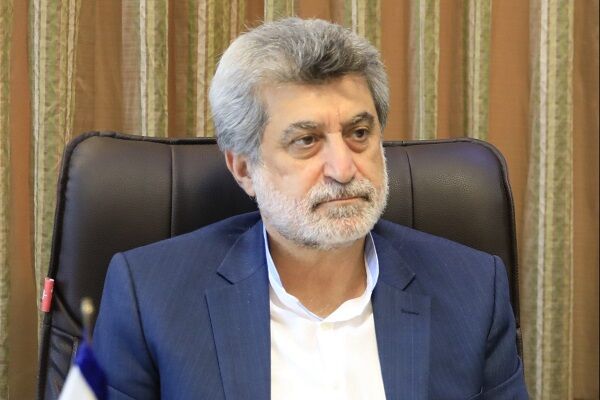 یکی از مواردی که آرامش بخش خصوصی را گرفته است کاهش ارزش پول ملی است