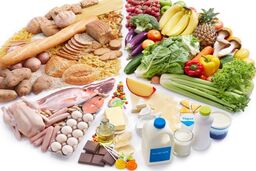 روزه‌داران، سرعت فسادپذیری مواد غذایی را در نظر داشته باشند