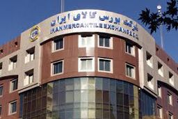 عرضه 80 هزار تن گندم خوراکی در بورس کالا 