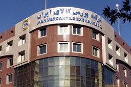  شروع عرضه گندم صادراتی در بورس کالا از فردا 