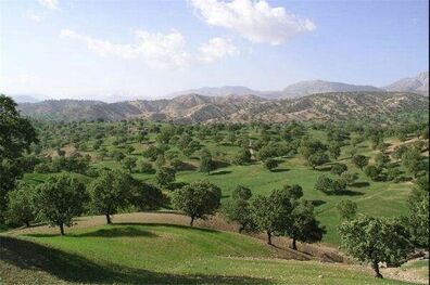 «شلالدان» مخملی سبز زیر پای مسافران نوروزی