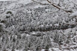 بارش برف و باران در ۸ استان