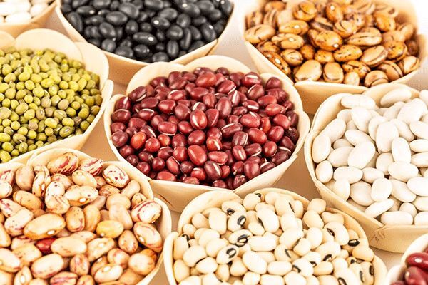 نرخ انواع حبوبات در میادین میوه و تره بار اعلام شد
